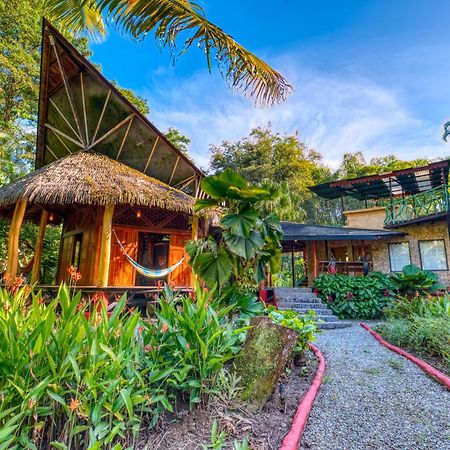 Tree House Beachfront Lodge Puerto Viejo de Talamanca Екстериор снимка