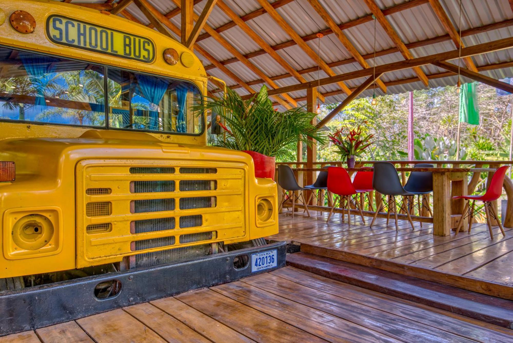 Tree House Beachfront Lodge Puerto Viejo de Talamanca Екстериор снимка