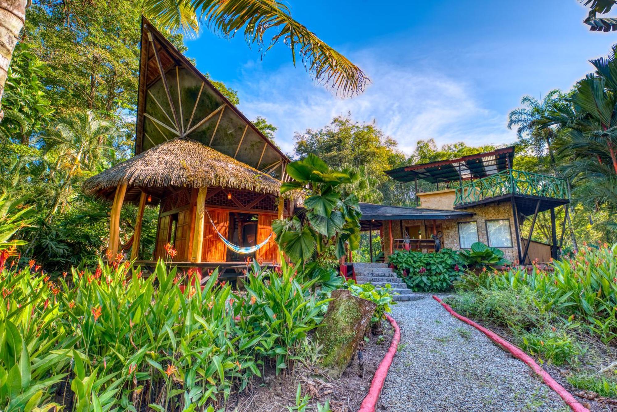 Tree House Beachfront Lodge Puerto Viejo de Talamanca Екстериор снимка