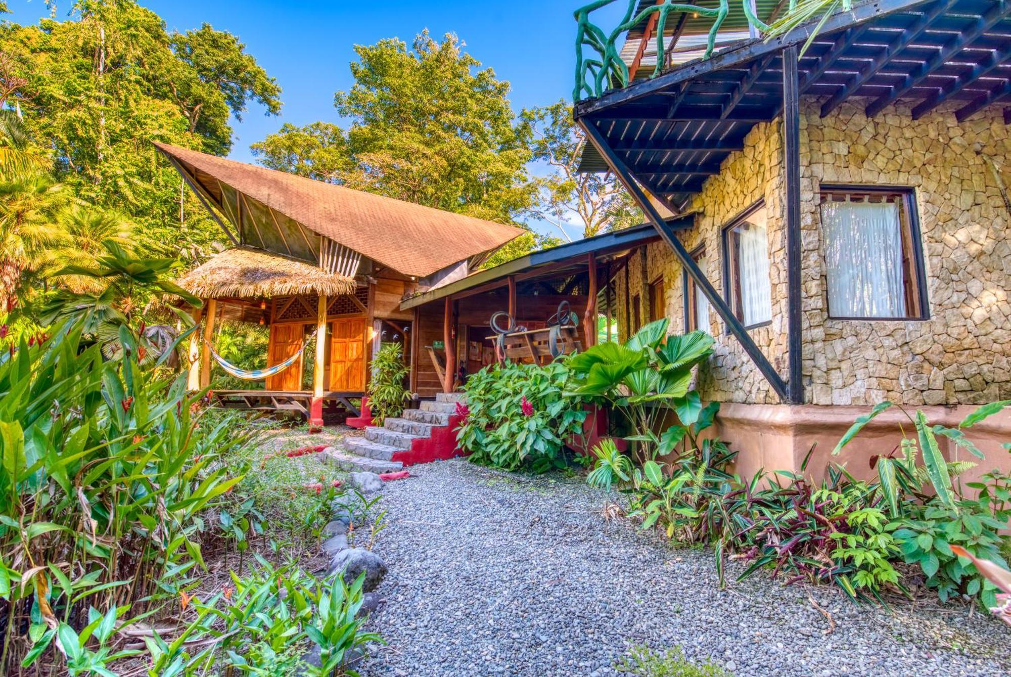 Tree House Beachfront Lodge Puerto Viejo de Talamanca Екстериор снимка