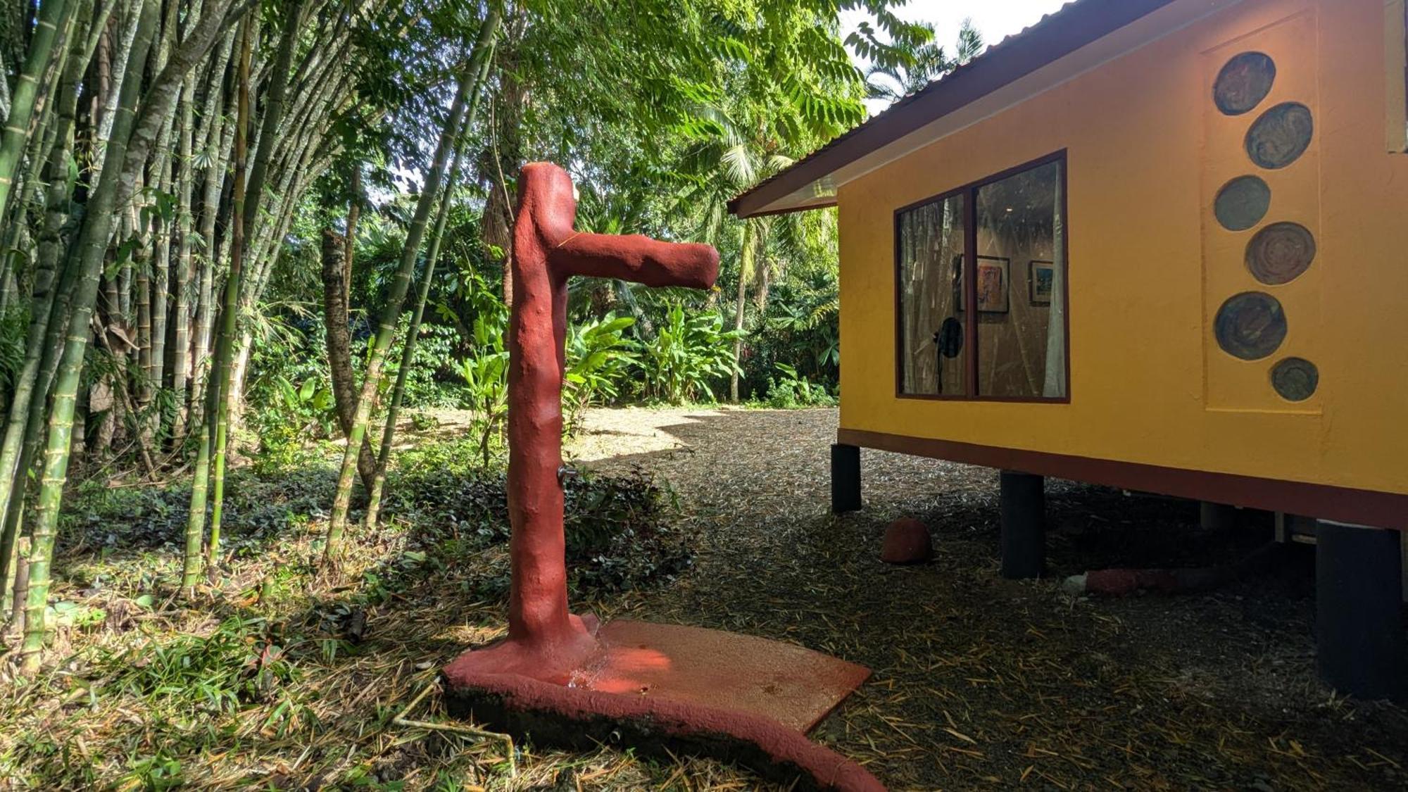 Tree House Beachfront Lodge Puerto Viejo de Talamanca Екстериор снимка