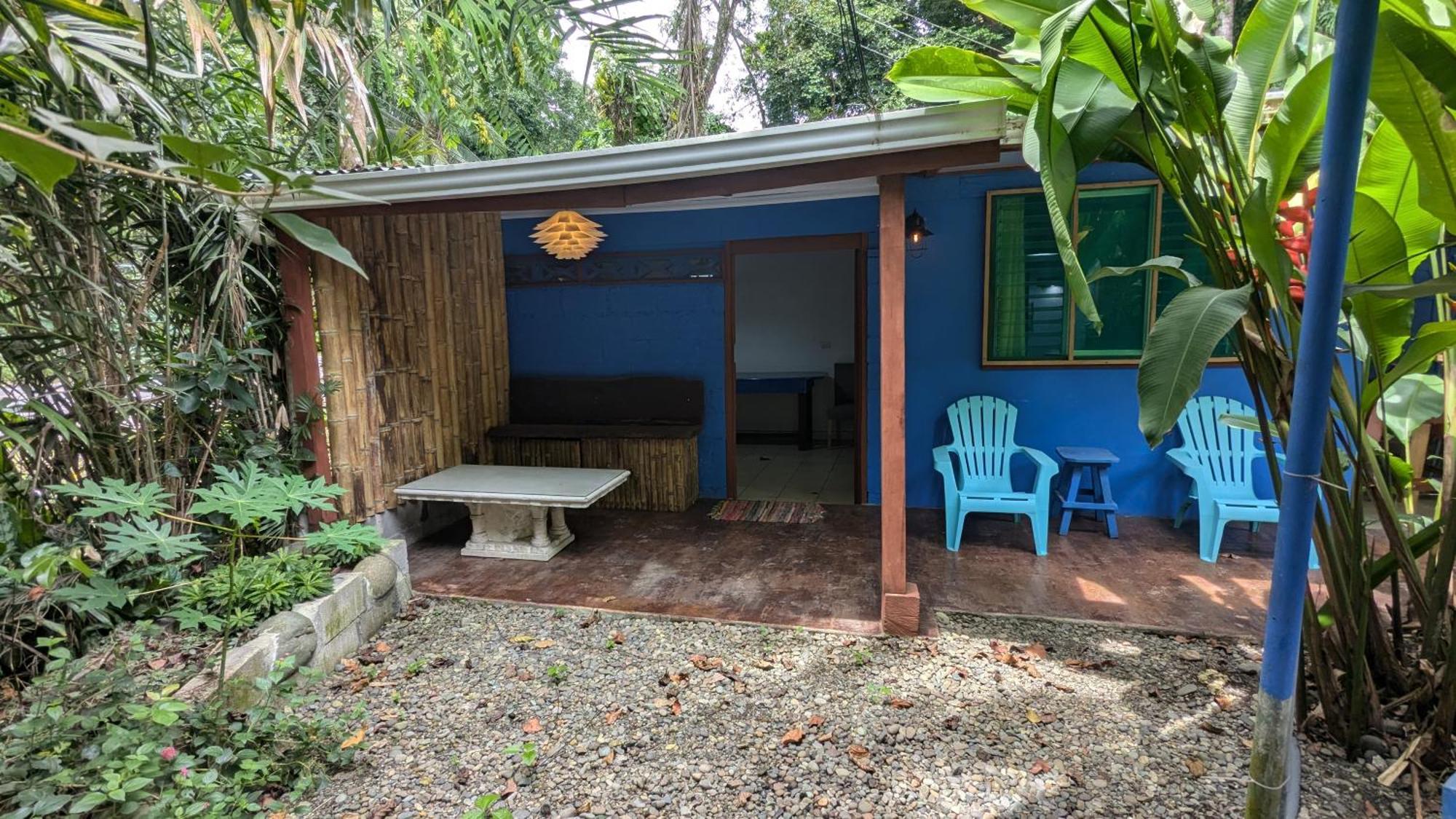 Tree House Beachfront Lodge Puerto Viejo de Talamanca Екстериор снимка