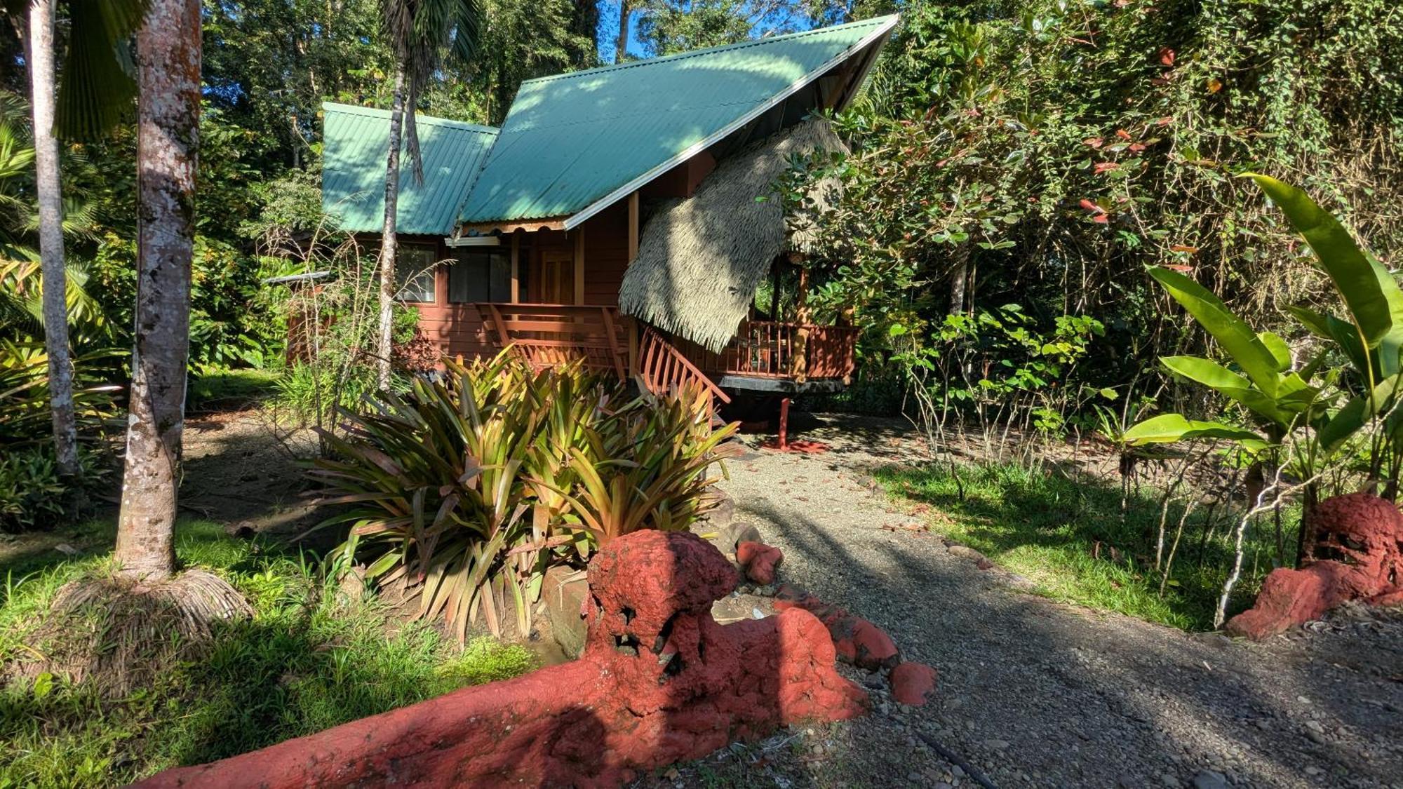 Tree House Beachfront Lodge Puerto Viejo de Talamanca Екстериор снимка