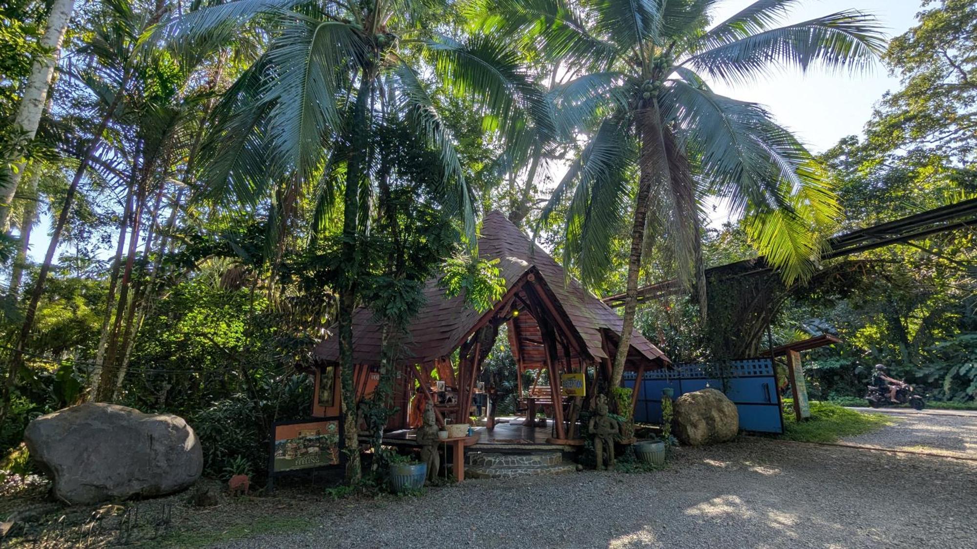 Tree House Beachfront Lodge Puerto Viejo de Talamanca Екстериор снимка