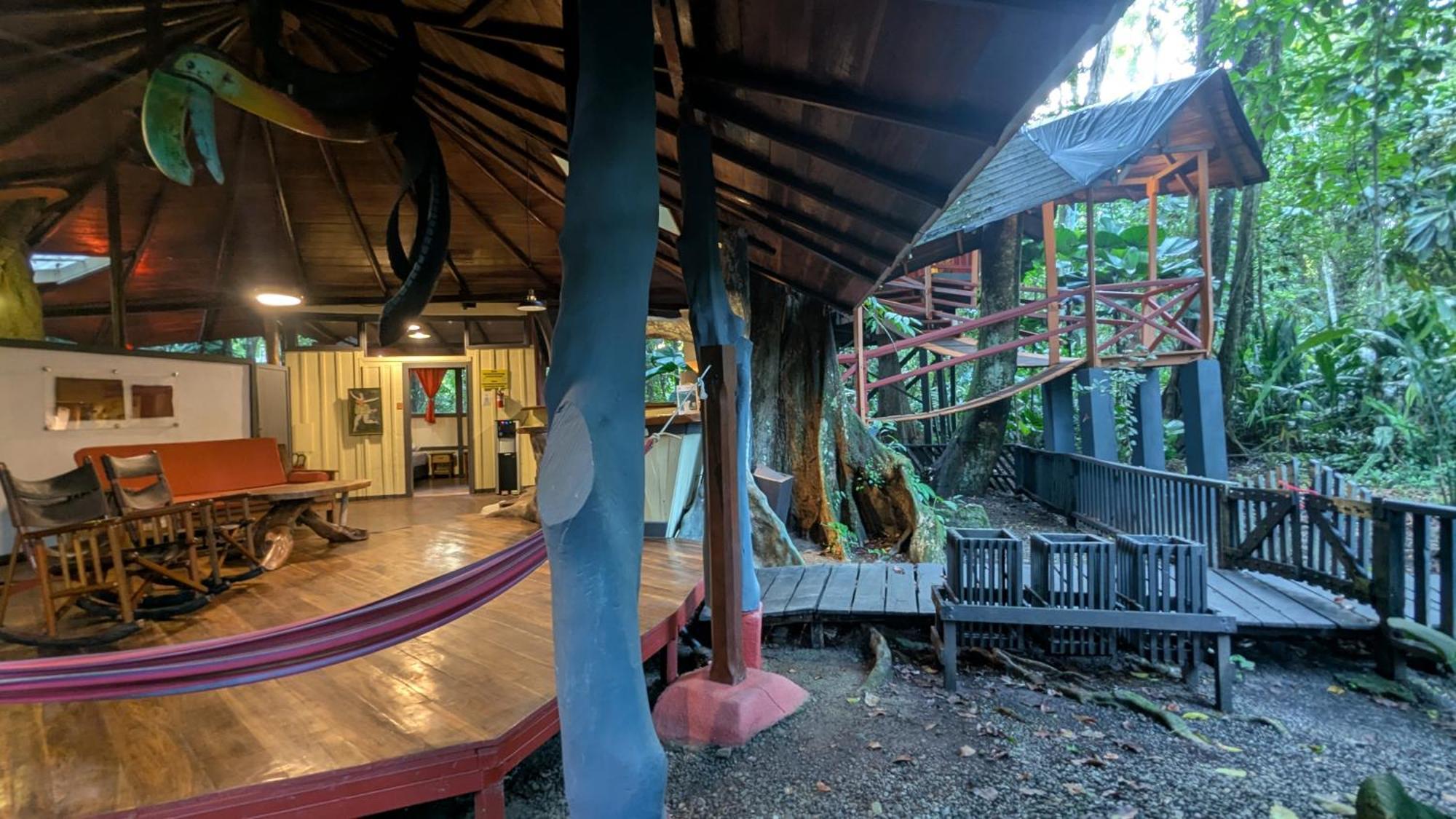 Tree House Beachfront Lodge Puerto Viejo de Talamanca Екстериор снимка