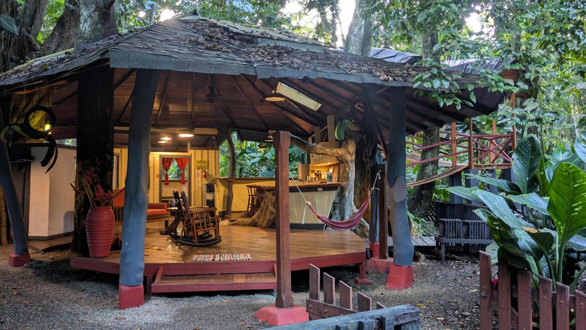 Tree House Beachfront Lodge Puerto Viejo de Talamanca Екстериор снимка