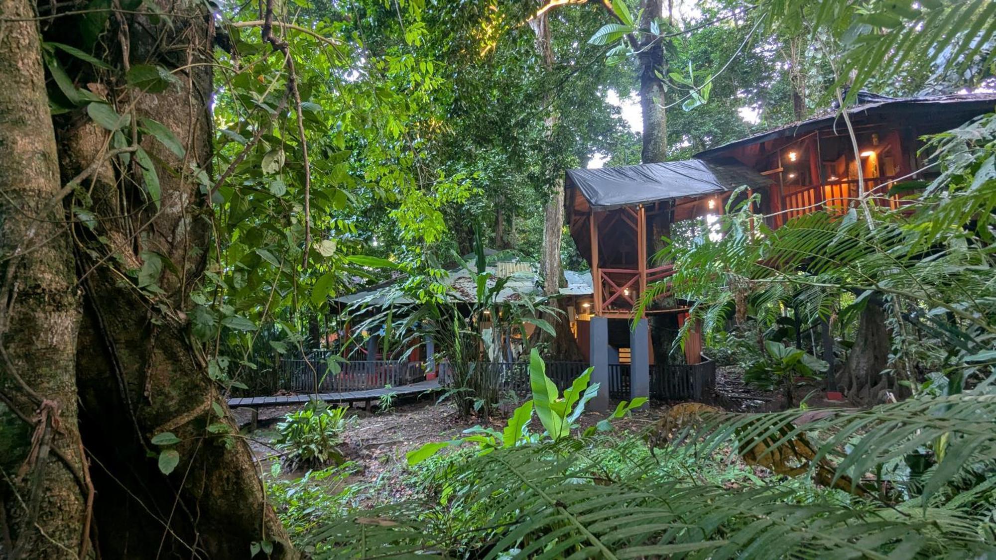 Tree House Beachfront Lodge Puerto Viejo de Talamanca Екстериор снимка